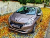 Peugeot 208 1,4 VTi 95 (c) Stefan Gruber