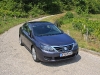 Renault Latitude V6 dCi 240 (c) Stefan Gruber