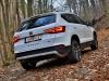 Seat Ateca Xcellence 2,0 TDI DSG 4Drive (c) Stefan Gruber