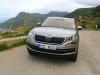 Skoda Kodiaq (c) Stefan Gruber