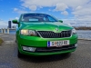 Skoda Rapid Elegance TDI Green tec (c) Stefan Gruber