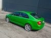 Skoda Rapid Elegance TDI Green tec (c) Stefan Gruber