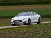 Tesla Model S P85+ (c) Dr. Marianne Skarics-Gruber