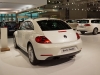 VW Beetle (c) Stefan Gruber