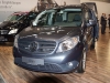 Mercedes Citan (c) Stefan Gruber