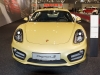 Porsche Cayman (c) Stefan Gruber