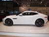 Jaguar F-Type Coupé (c) Stefan Gruber