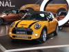 Mini (c) Stefan Gruber