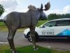 Volvo Animal Detection (c) Stefan Gruber