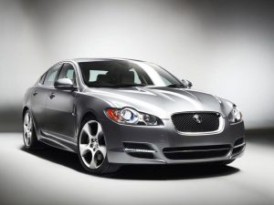 2010 xf 1