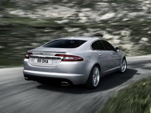 2010 xf 3