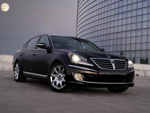 2011_equus_9 2011 equus 9