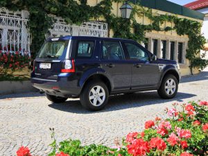 IMG_0704 IMG 0704