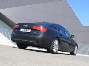 IMG_8135 IMG 8135