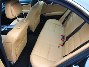 IMG_1535 IMG 1535