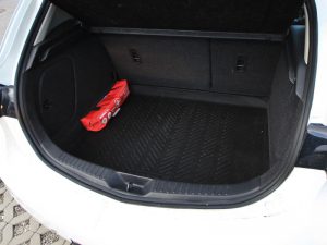 IMG 0387