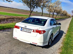 IMG_1005 IMG 1005