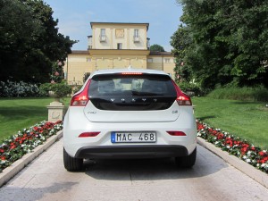 IMG_3546 IMG 3546