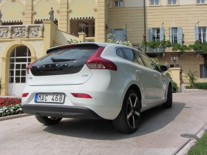 IMG_3553 IMG 3553