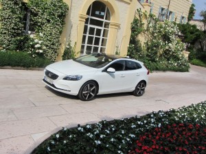 IMG_3575 IMG 3575