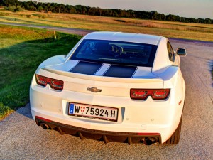 IMG_7224 IMG 7224