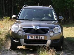 IMG_0335 IMG 0335