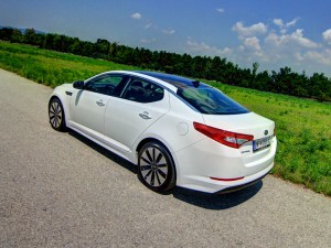 IMG_1783 IMG 1783
