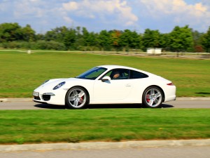 IMG_2295 IMG 2295