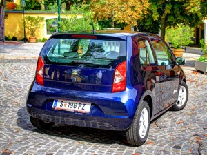 IMG_3046 IMG 3046