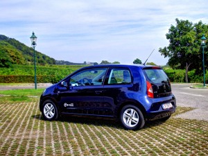 IMG_3241 IMG 3241