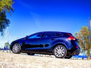 IMG_3556 IMG 3556