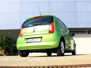 IMG_9013 IMG 9013