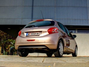 IMG_3772 IMG 3772