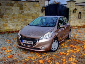IMG_3851 IMG 3851