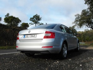 2013_octavia_21