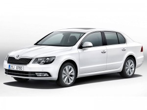 (c) Skoda