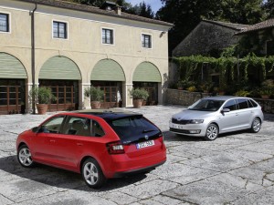 (c) Skoda