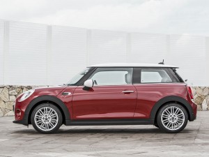 (c) Mini