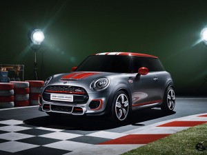 (c) Mini