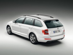 (c) Skoda