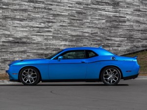 (c) Dodge
