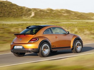 (c) VW