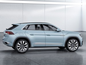 (c) VW