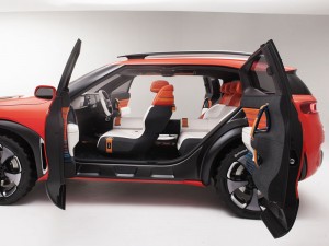 (c) Citroen