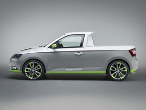 (c) Skoda