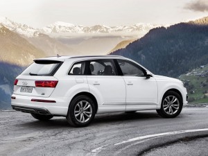 (c) Audi