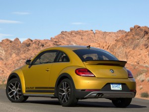 (c) VW