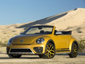(c) VW