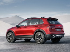(c) VW