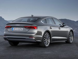 (c) Audi